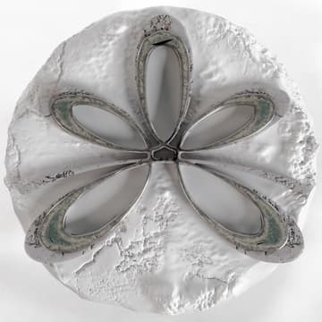 Cover Image for Kismet Casa Showcase