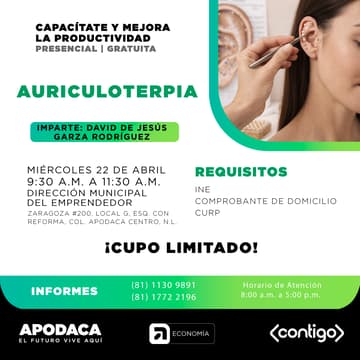 Cover Image for AURICULOTERAPÍA (PRESENCIAL)