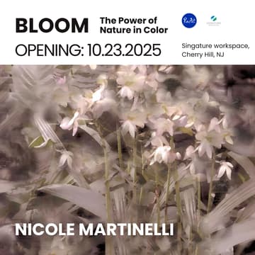Cover Image for Opening Reception: Bloom - The Power of Nature in Color