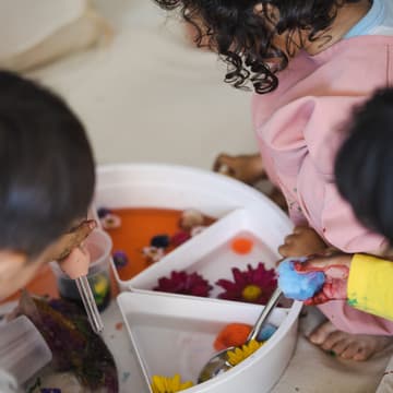 Cover Image for Sensory play for under 3yo
