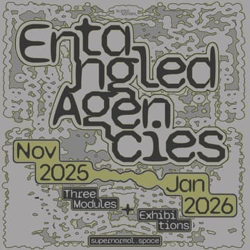 Cover Image for Entangled Agencies: Module 3: Mirroring and Mirrored - Artist Talk + Lecture