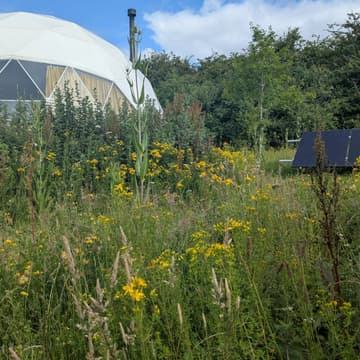 Cover Image for Retreat - Sound Bath and Sauna (including Leaf Whisking) with The Sauna Works - WINCHESTER PM SESSION