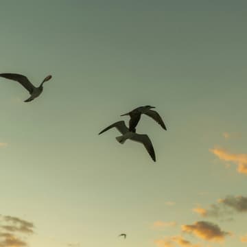 Cover Image for conscious co-work