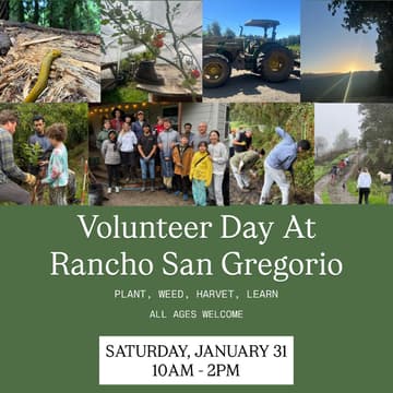 Cover Image for Volunteer Day At Rancho San Gregorio