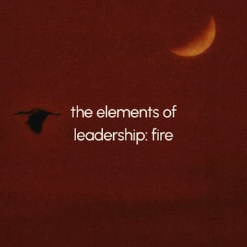 Cover Image for the elements of leadership: fire