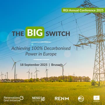 Cover Image for The Big Switch: Achieving 100% Decarbonised Power in Europe