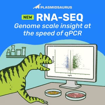 Cover Image for Plasmidsaurus @ ICMM, KU Copenhagen