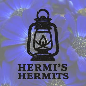 Cover Image for HERMI'S HERMITS (NOT SO) SECRET PHILANTHROPY SOCIETY