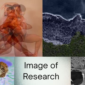 Cover Image for Images of Research Celebration