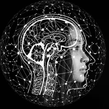 Cover Image for The Vagus Nerve: Your Built-In Stress Recovery System