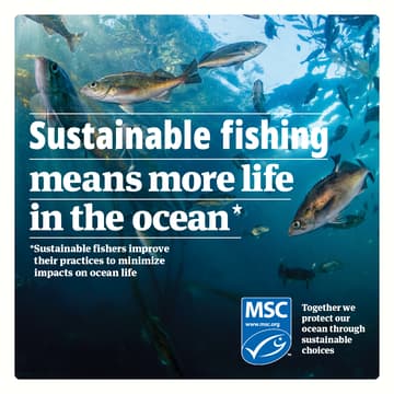 Cover Image for Marine Biodiversity & Sustainable Fishing: a Partnership in Resilience