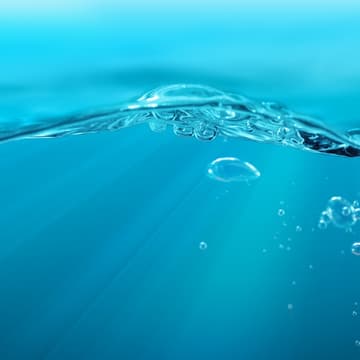 Cover Image for Making the Invisible Visible: From Ocean Expeditions to Actionable Solutions