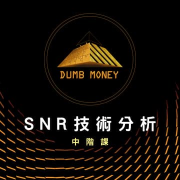 Cover Image for ＳＮＲ技術分析-中階研討會