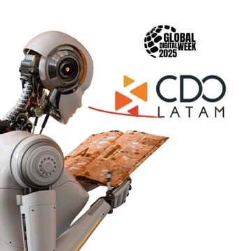 Cover Image for Chief Data & AI Officers, Best Practices