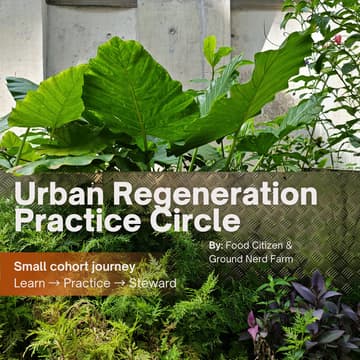 Cover Image for Urban Regeneration Practice Circle