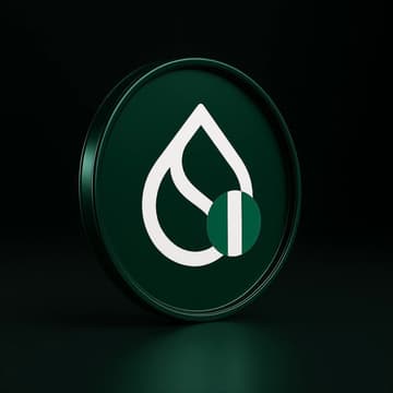Cover Image for SUI NIGERIA MEET UP MINNA