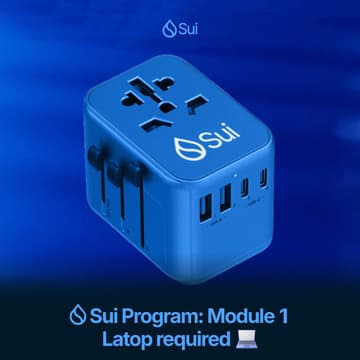 Cover Image for Sui Program: Module 1