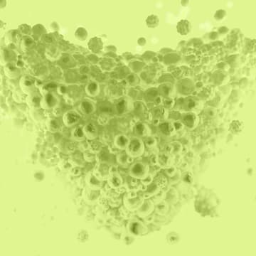 Cover Image for VitaDAO Community Call