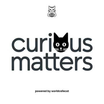 Cover Image for World Cafe: Curious matters 001 (online)