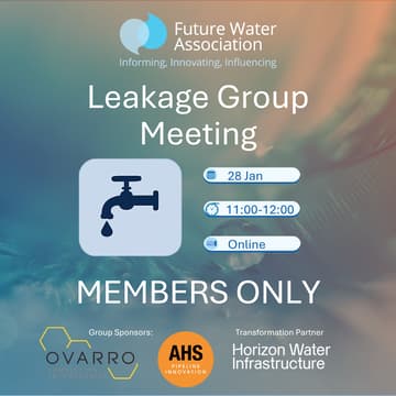 Cover Image for Leakage Group Meeting