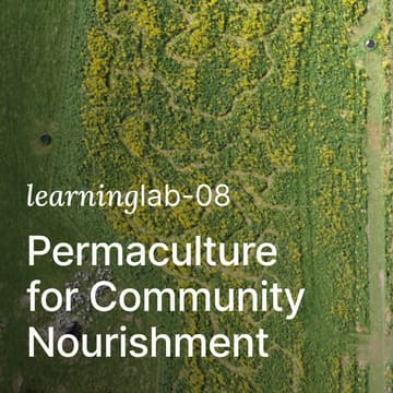 Cover Image for Learning Lab 08: Permaculture for Community Nourishment