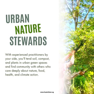 Cover Image for Urban Nature Stewards (Bukit Gombak)