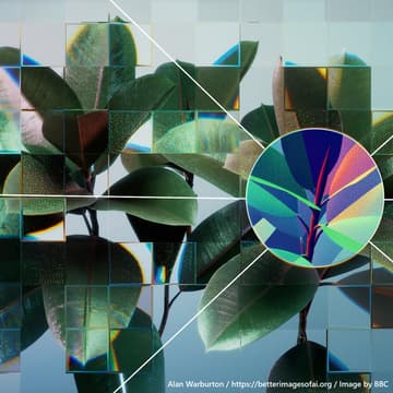 Cover Image for Nonprofit Datafolk Club - AI in nonprofits