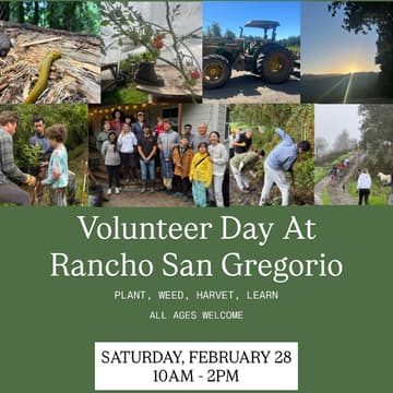 Cover Image for Volunteer Day At Rancho San Gregorio