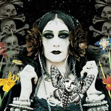 Cover Image for Datura Style Improv: Intensive with Rachel Brice