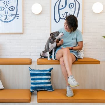 Cover Image for Woofbowl Pupsgiving at Bond Vet