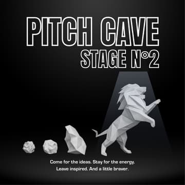 Cover Image for PitchCave Stage N°2