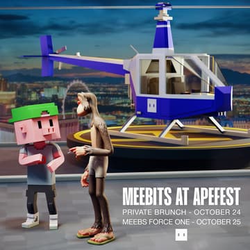Cover Image for Meebs Force One