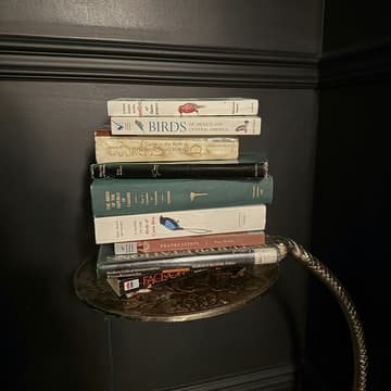 Cover Image for Reading Rhythms Long Island: March 19th