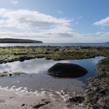 Cover Image for Marine Debt-for-Nature Swaps: What is Needed to Scale Blue Finance?