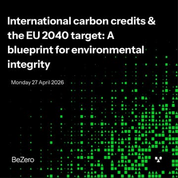 Cover Image for International carbon credits & the EU 2040 target: A blueprint for environmental integrity