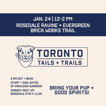 Cover Image for Evergreen Brick Works Pack Walk