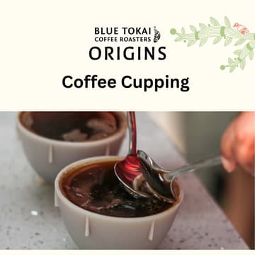 Cover Image for Coffee Cupping