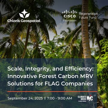 Cover Image for Scale, Integrity, and Efficiency: Innovative Forest Carbon MRV Solutions for FLAG Companies