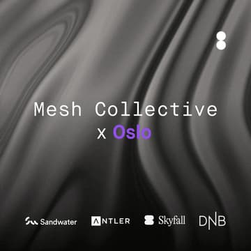Cover Image for Mesh Collective X Oslo