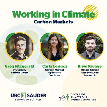 Cover Image for Working in Climate Series: Carbon Markets