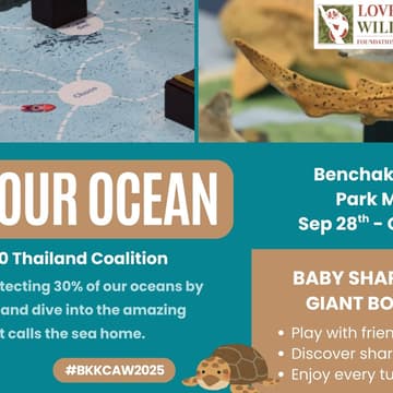 Cover Image for Save Our Ocean: Join the 30x30 Thailand Coalition
