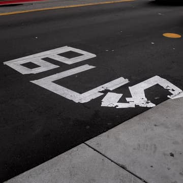 Cover Image for Words on the Street: A Salon on Street Text Catalogs