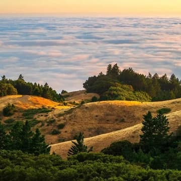 Cover Image for Fire Ecology & Restoration Hike with Marin County Fire Department and Stanford University's Michael Wara