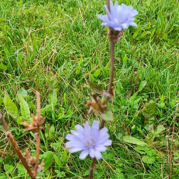 Cover Image for UTM Winter Work Party