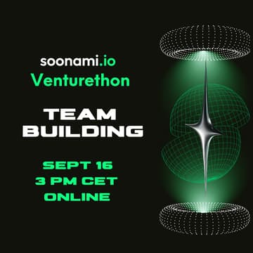Cover Image for Team Building: soonami Venturethon Edition 8