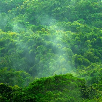 Cover Image for Biodiversity and Nature Finance Breakfast with IBAT and Conservation International