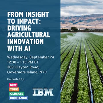 Cover Image for From Insight to Impact: Driving Agricultural Innovation with AI
