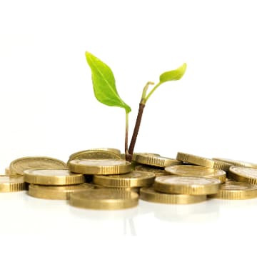 Cover Image for Webinar: Angel 201 - Assessing and Managing Risk in Angel Impact Investing