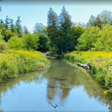 Cover Image for Greenwood Conservation Area (North of Ajax) – ~10 km hike