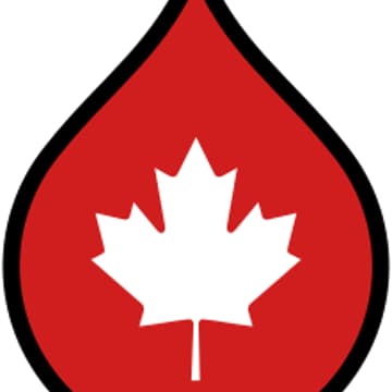 Cover Image for Waterloo Region Drupal Users Group November Meetup: AI Applications